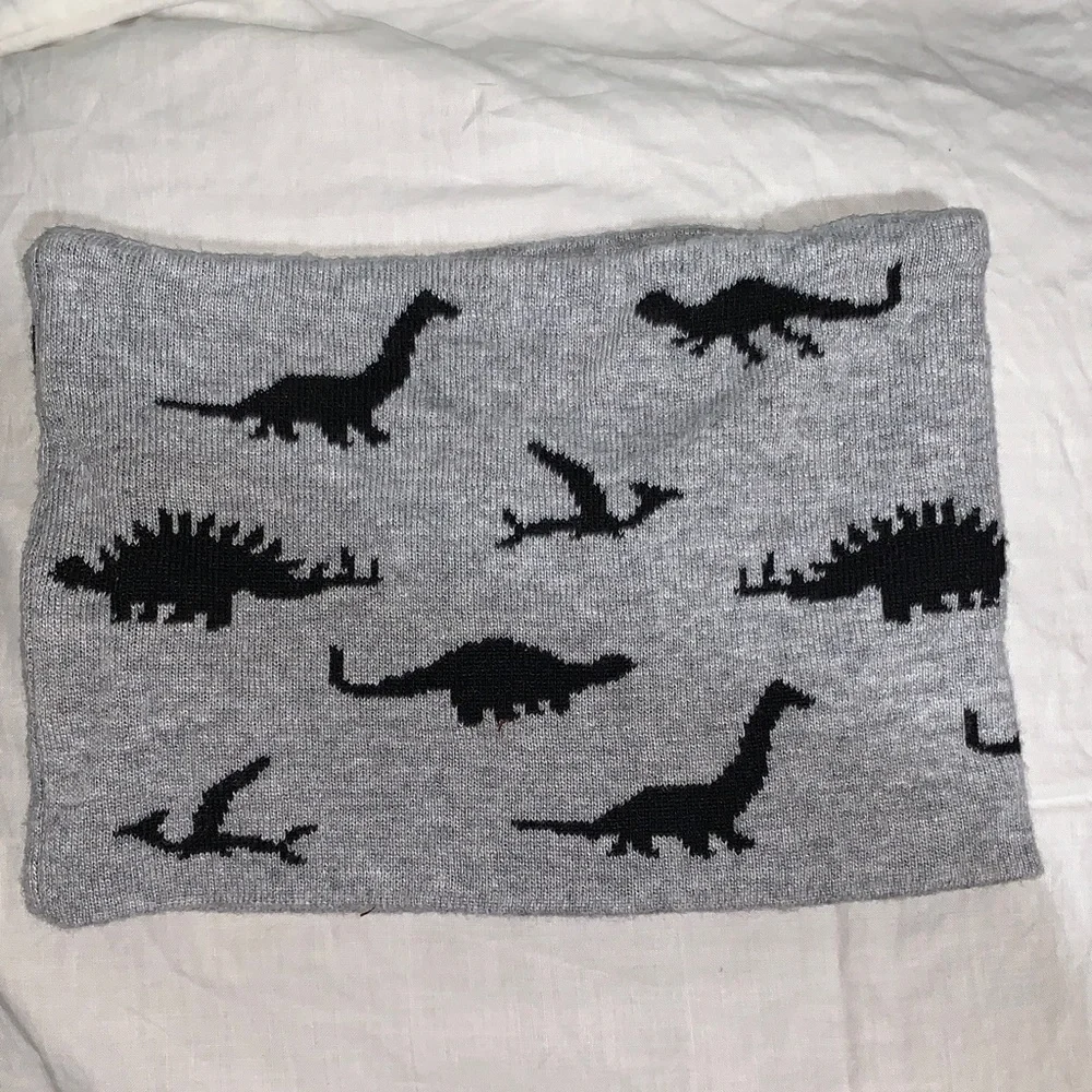 Target Gray Kids Dinosaur Neck cover